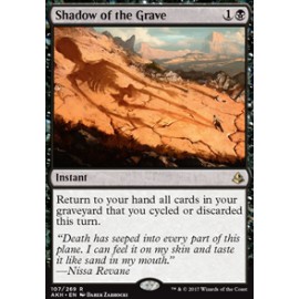 Shadow of the Grave