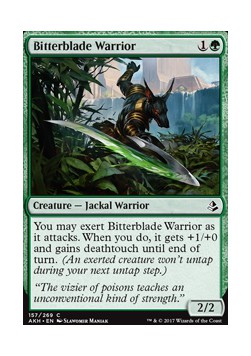 Bitterblade Warrior